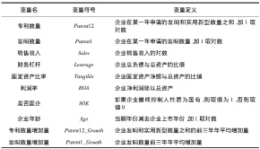 表1 主要变量定义